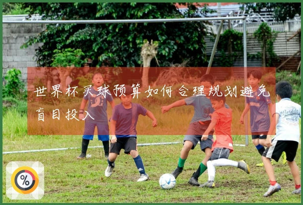 世界杯买球预算如何合理规划避免盲目投入