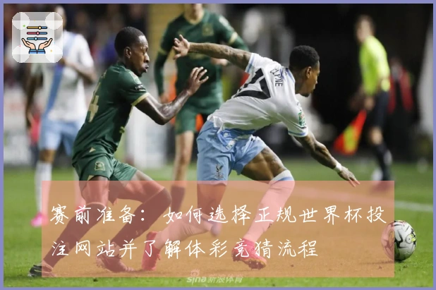 赛前准备：如何选择正规世界杯投注网站并了解体彩竞猜流程