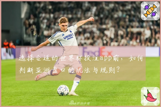 选择合适的世界杯投注app前，如何判断亚洲盘口的玩法与规则？