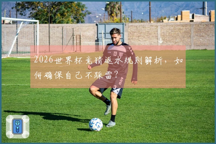 2026世界杯竞猜返水规则解析,如何确保自己不踩雷?