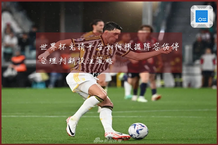 世界杯竞猜平台如何根据阵容伤停合理判断投注策略