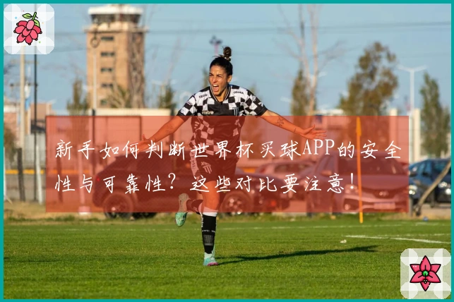 新手如何判断世界杯买球APP的安全性与可靠性？这些对比要注意！