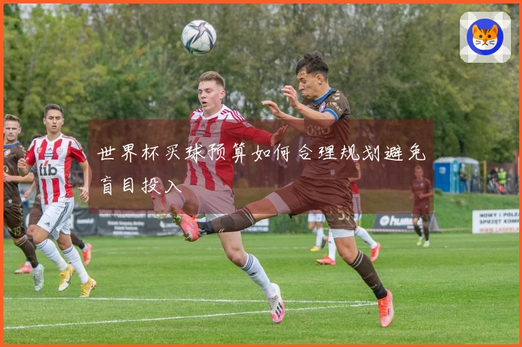 世界杯买球预算如何合理规划避免盲目投入