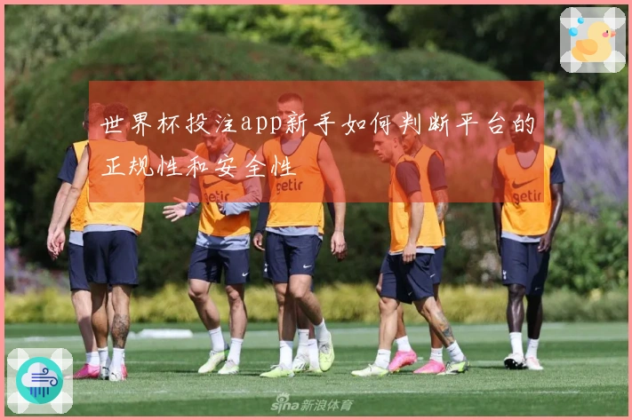 世界杯投注app新手如何判断平台的正规性和安全性