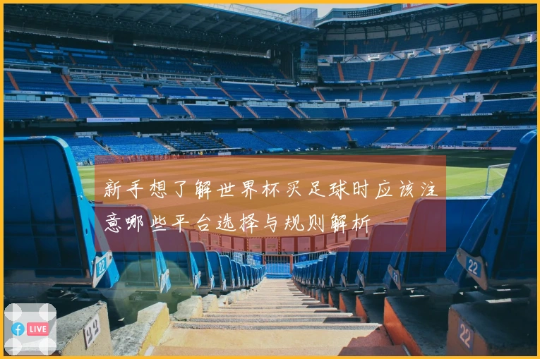 新手想了解世界杯买足球时应该注意哪些平台选择与规则解析