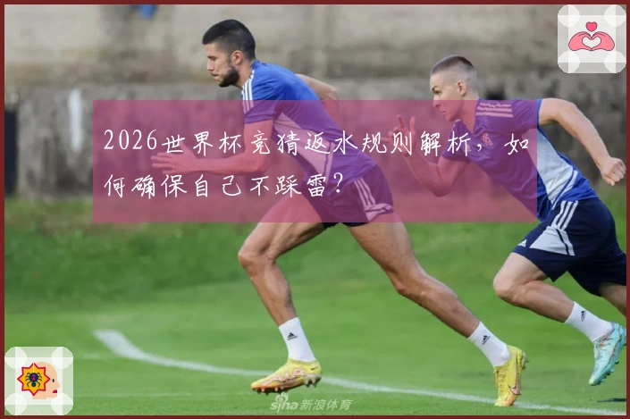 2026世界杯竞猜返水规则解析，如何确保自己不踩雷？