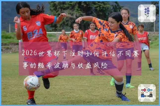 2026世界杯下注时如何评估不同赛事的赔率波动与收益风险