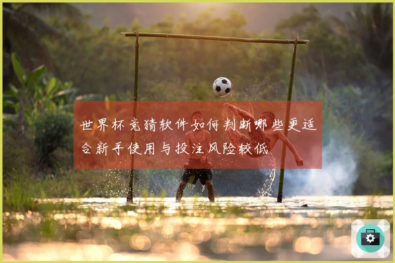 世界杯竞猜软件如何判断哪些更适合新手使用与投注风险较低