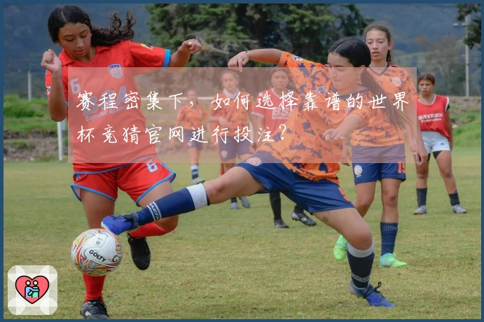 赛程密集下，如何选择靠谱的世界杯竞猜官网进行投注？